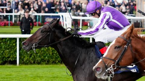Hawk Mountain, ridden by Ronan Whelan, leads home Action in the Futurity Trophy Stakes at Doncaster