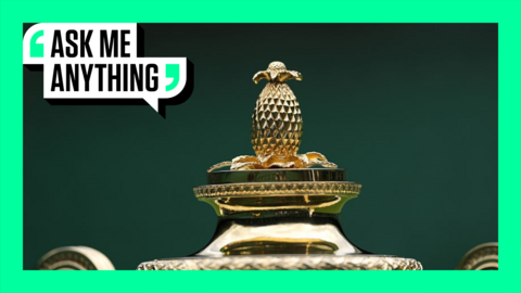 The pineapple on the top of the men's singles Wimbledon trophy with an Ask Me Anything border around it